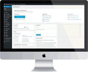 Wordpress Console